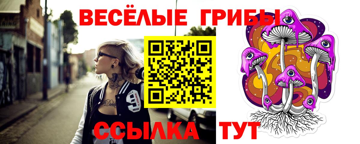 Псилоцибиновые грибы GOLDEN TEACHER Североуральск