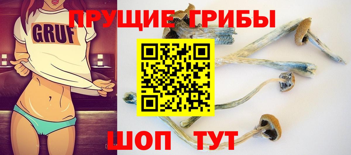 Галлюциногенные грибы мицелий  Галлюциногенные грибы мицелий  Вход с VPN  Североуральск 